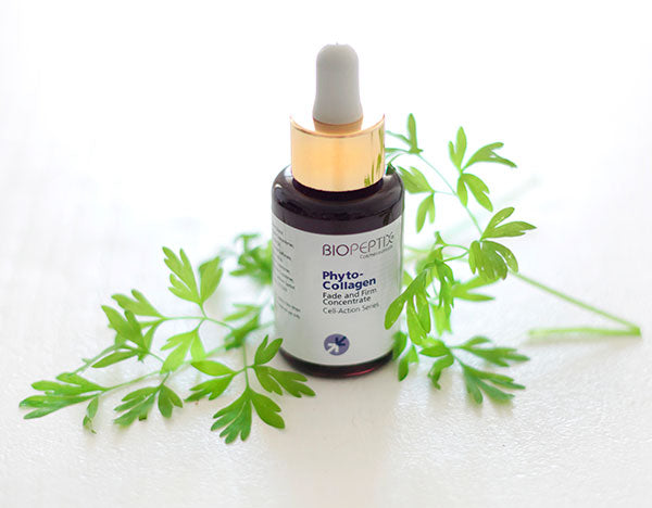 PHYTO COLLAGEN - Concentrado reafirmante 30ml