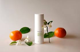 FRUIT CLEANSING FOAM - Espuma de limpeza 100ml